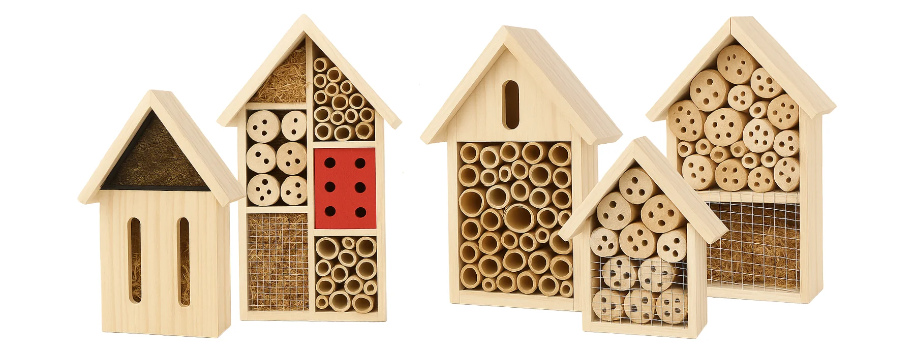 Malá domácí zvířata