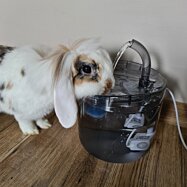 Fontánka - napáječka pro psa/kočku 2000ml