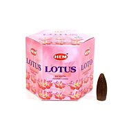 Hem Backflow vonné kužely, 40ks