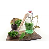 Přírodní výluh z medvědího česneku, přírodní koncentrát - 250 ml