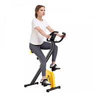 Stacionární bicykl rotoped s LCD displejem a měřením pulzu ROTOR 10L