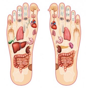 Detoxikační náplasti KINOKI