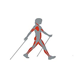 Náhradní gumová koncovka na trekingové hole (patka) 1 ks - Náhled