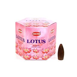 Hem Backflow vonné kužely, 40ks