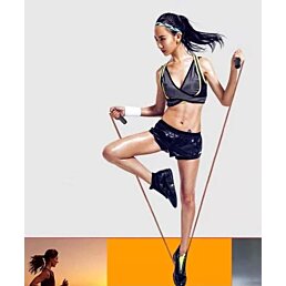 Kožené boxerské švihadlo s ložisky 275 cm - Náhled