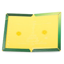 Lepidlo, lepicí deska past na myši a potkany 24 x 16,5 cm - Náhled