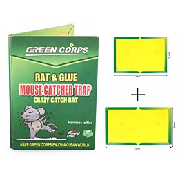 Lepidlo, lepicí deska past na myši a potkany, malá + velká