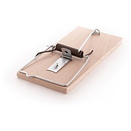 Past na krysy z bukového dřeva Rat, 164 x 75 mm