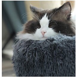 Pelíšek pro psy a kočky, 65cm - Náhled