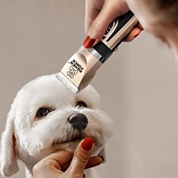 Střihací strojek na srst zvířat 6 nástavců, Pet Grooming, Gold - Náhled