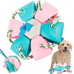 Létající Frisbee míč pro psy, modro-růžová