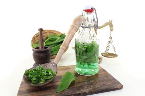 Výluh z medvědího česneku